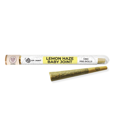 lemon baby.png