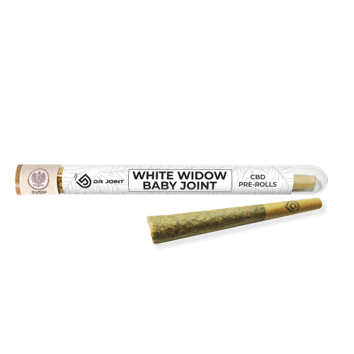 white widow baby.png